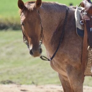 Profile photo of Heather Spitler