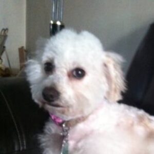 Profile photo of Maria