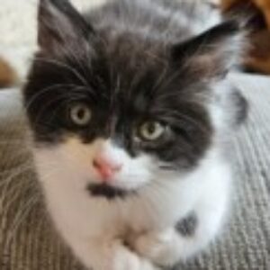 Profile photo of Brenda Unsicker