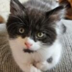 Profile photo of Brenda Unsicker