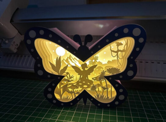 Tinkerbell Shadow Box