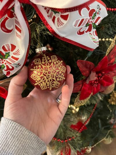 WhatsApp Image 2025-01-13 at 10.13.33